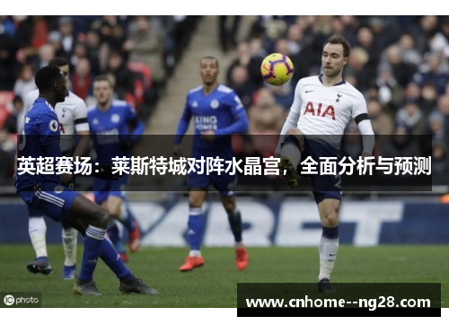 英超赛场：莱斯特城对阵水晶宫，全面分析与预测