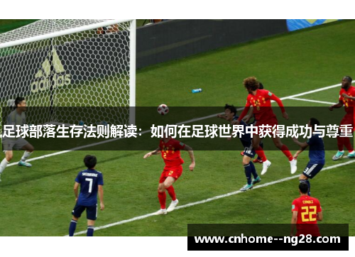 足球部落生存法则解读：如何在足球世界中获得成功与尊重