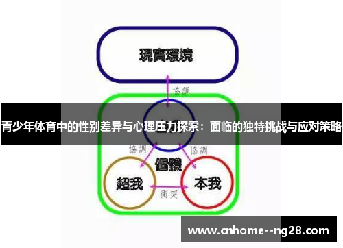 青少年体育中的性别差异与心理压力探索：面临的独特挑战与应对策略