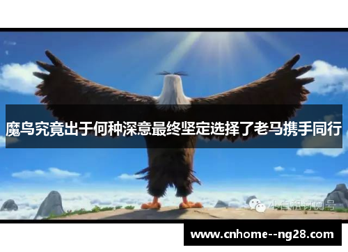 魔鸟究竟出于何种深意最终坚定选择了老马携手同行