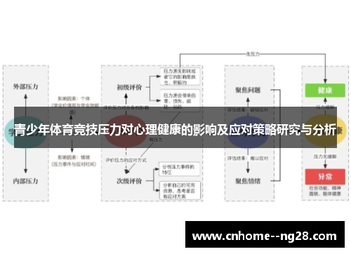 青少年体育竞技压力对心理健康的影响及应对策略研究与分析 青少年体育竞技压力对心理健康的影响及应对策略研究与分析
